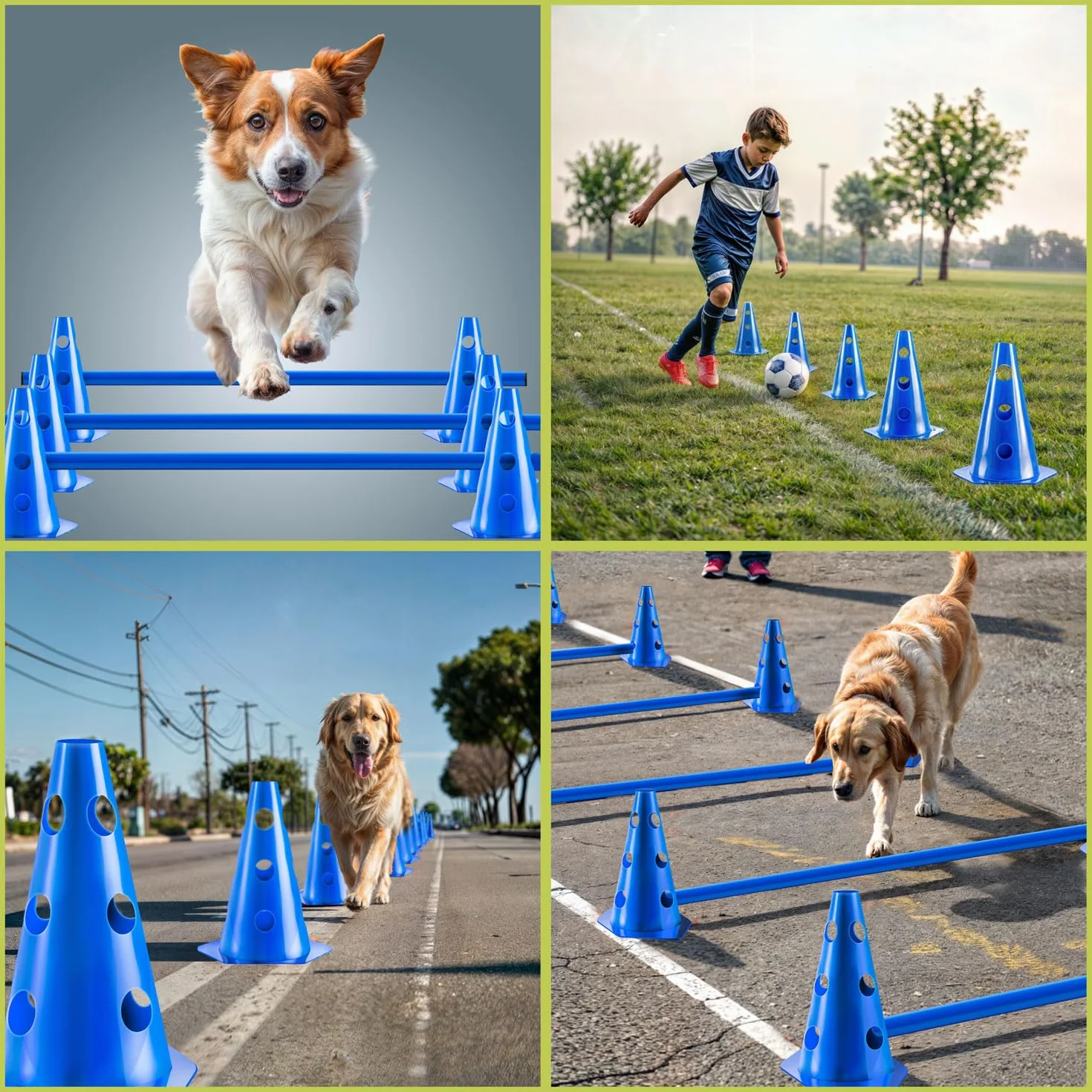 Túnel de Agilidad para Perros - Conjunto de Accesorios de Agilidad para Perros Que Incluye estacas, Bolsa de Transporte, Juguete Lanzador de Frisbee y Vallas con Conos (Set: 200 cm + Accesorios)