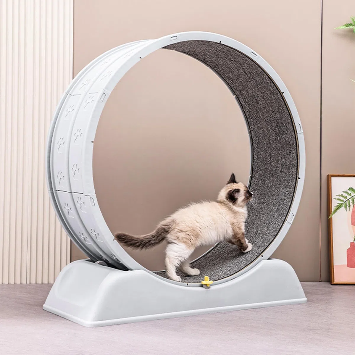 SOONHUA Rueda de correr para gatos de 80 cm con freno de seguridad, Rueda para gatos estable para gatos domésticos, Rueda de correr para gatos con alfombrilla extraíble
