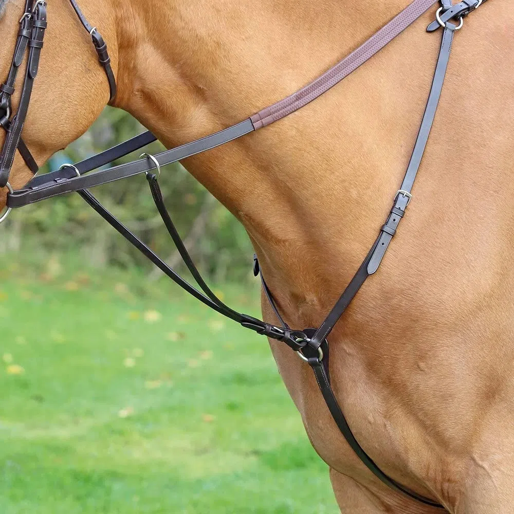 Pechera Aviemore para caballo de caza, arreo de equitación