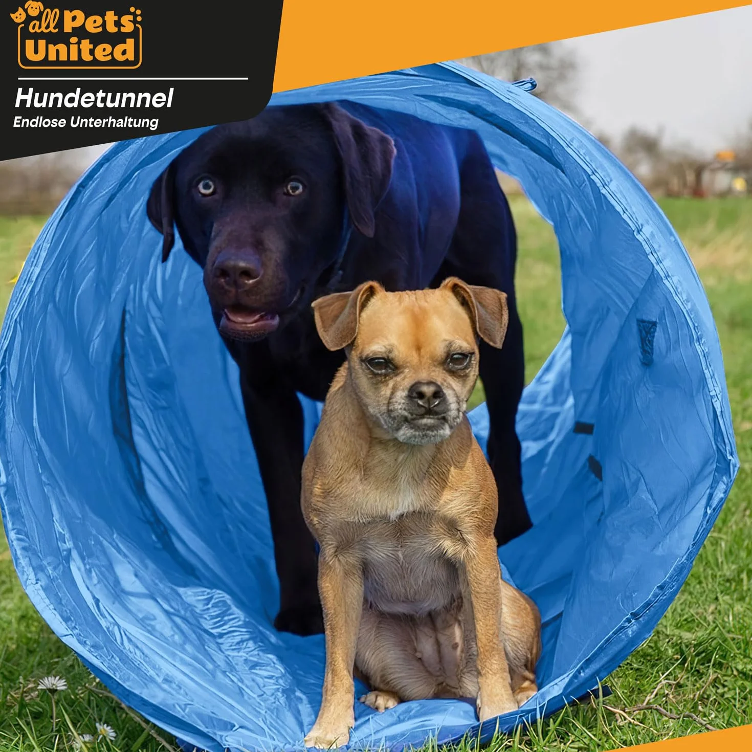 Túnel de Agilidad para Perros - Conjunto de Accesorios de Agilidad para Perros Que Incluye estacas, Bolsa de Transporte, Juguete Lanzador de Frisbee y Vallas con Conos (Set: 200 cm + Accesorios)