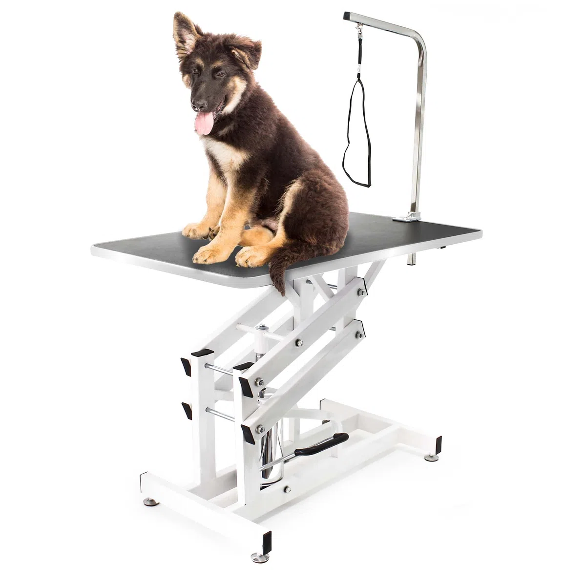 WilTec Mesa Veterinaria Peluquería Canina para Mascotas Aseo Grooming Higiene Plegable portátil