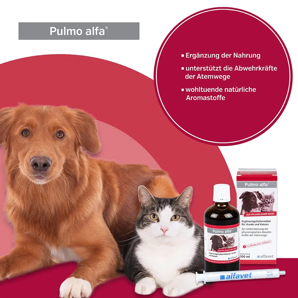 alfavet Pulmo alfa | Paquete doble | 2 x 100 ml | Complemento alimenticio para perros y gatos | Para apoyar las vías respiratorias en perros y gatos | Con aromas beneficiosos