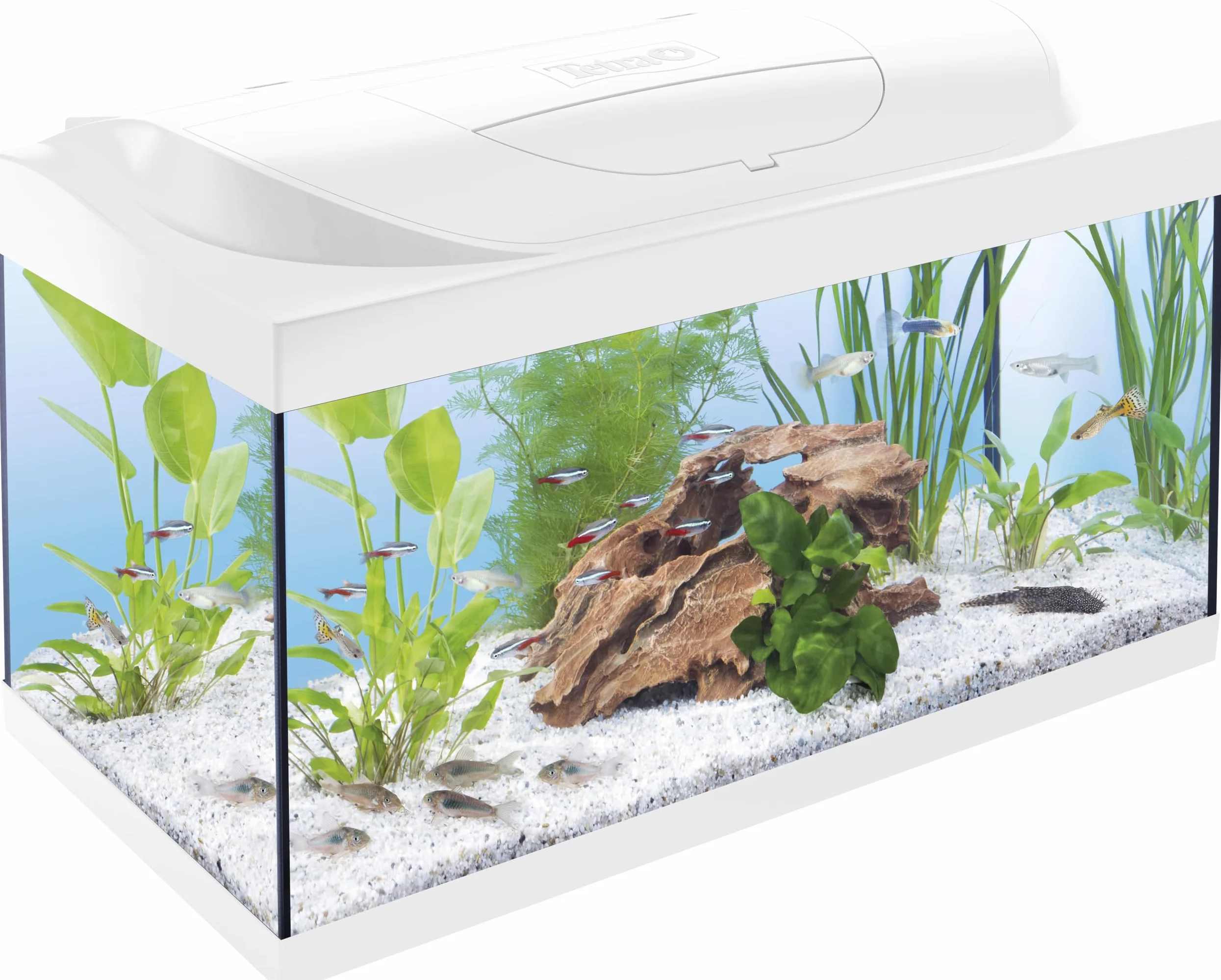 Tetra Starter Line LED 54L Acuario de Inicio Blanco, Bombilla LED con Modo luz Diurna/Nocturna
