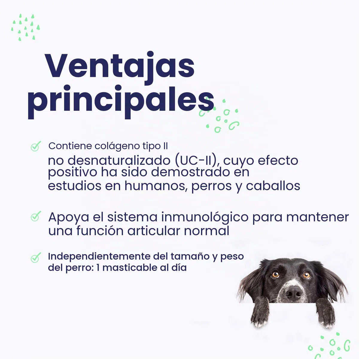 Flexadin Advanced para perros | Paquete doble | 2 x 60 Chews | Complemento alimenticio para apoyar la salud articular | Con colágeno inmunoactivo, Omega-3 y vitamina E