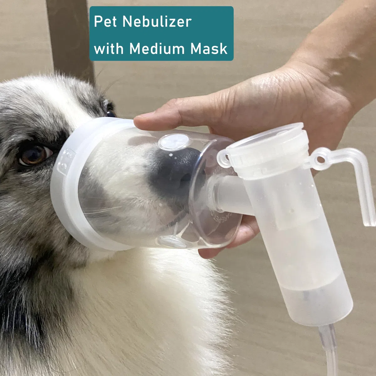 Taza nebulizadora para Mascotas y mascarilla inhaladora para Gatos y Perros pequeños, mascarilla de oxígeno para Mascotas (no Incluye máquina nebulizadora) (M - Perro Mediano)