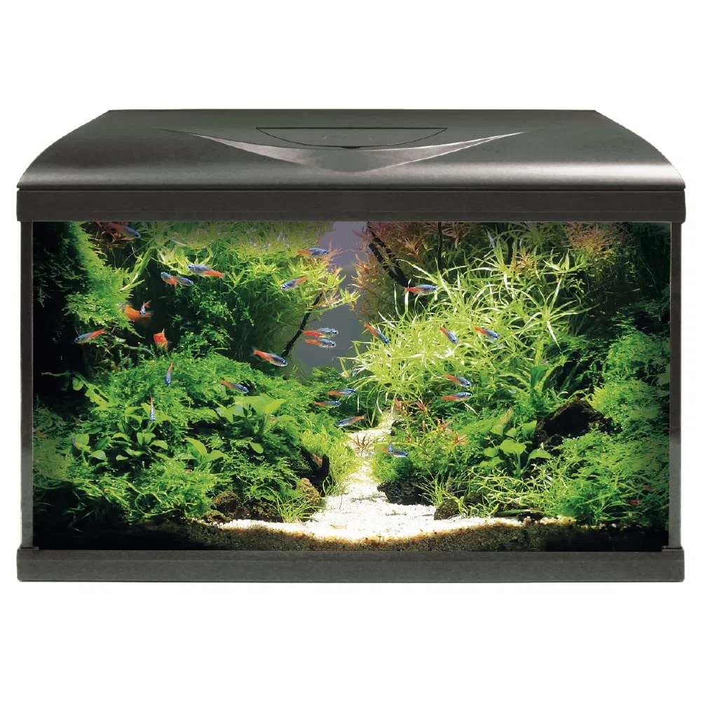 Amtra Acquario System Tank V2 - Acuario De Cristal Completo De 60 Litros, Luz Led De 9 Vatios Y Bomba De Filtro Incluida, Agua Dulce O Salada, Negro, 60X32X42 Cm