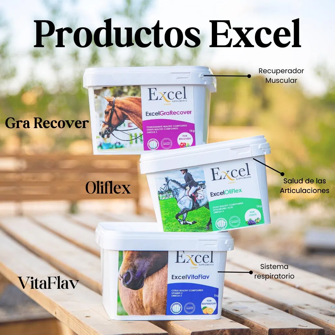 Excel Supplements VITAFLAV - Suplemento Alimenticio para Caballos | Mejora la Capacidad de respiración del Caballo | Aumenta el Rendimiento | Cuidado del Caballo | 1KG