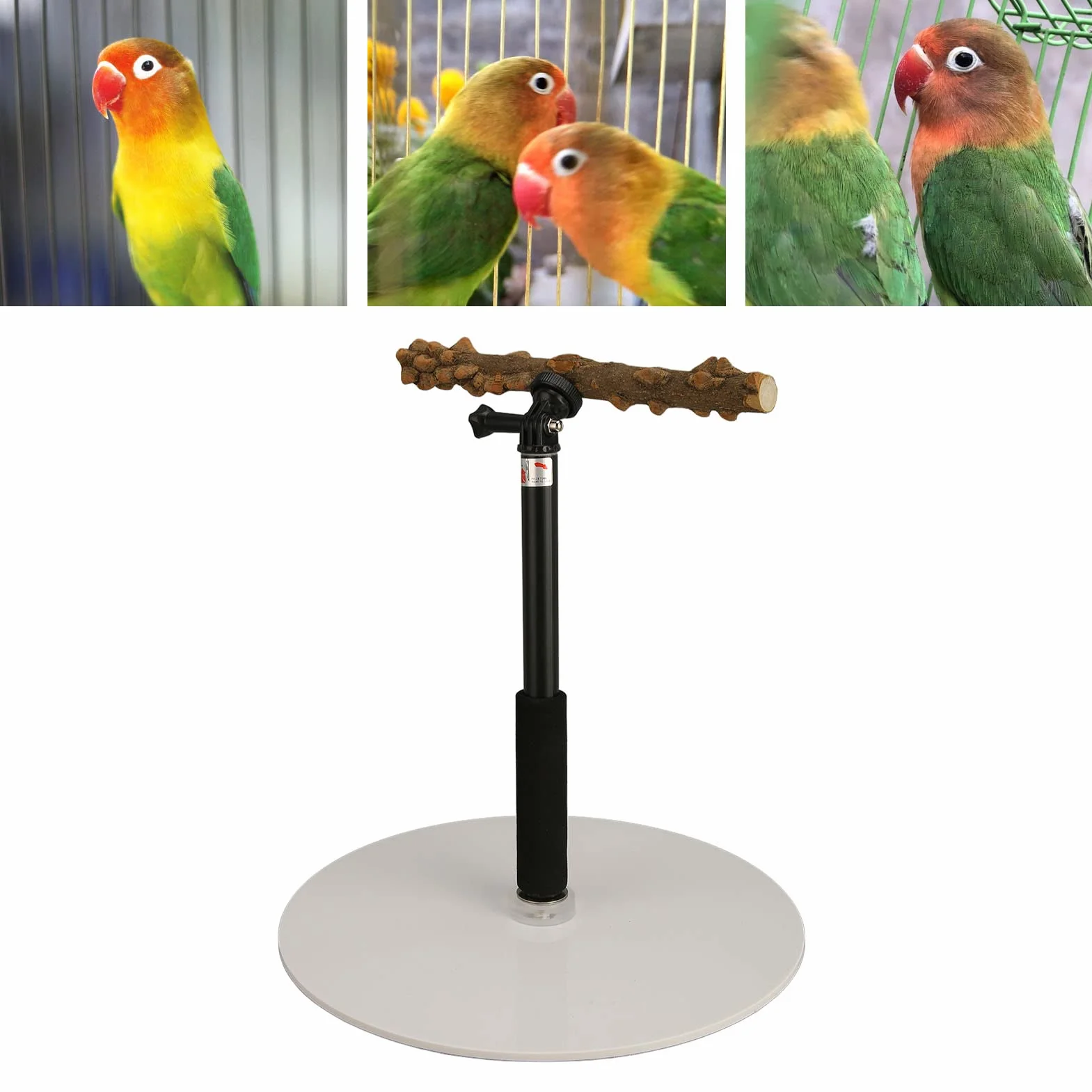 Soporte de Juego para Pájaros, Altura Ajustable Loro Formación Perch Stand, 11.8in-37.0in, Plataforma de Madera Natural para Loros, Soporte de Juego Portátil Y Desmontable para Cacatúas, Agapornis