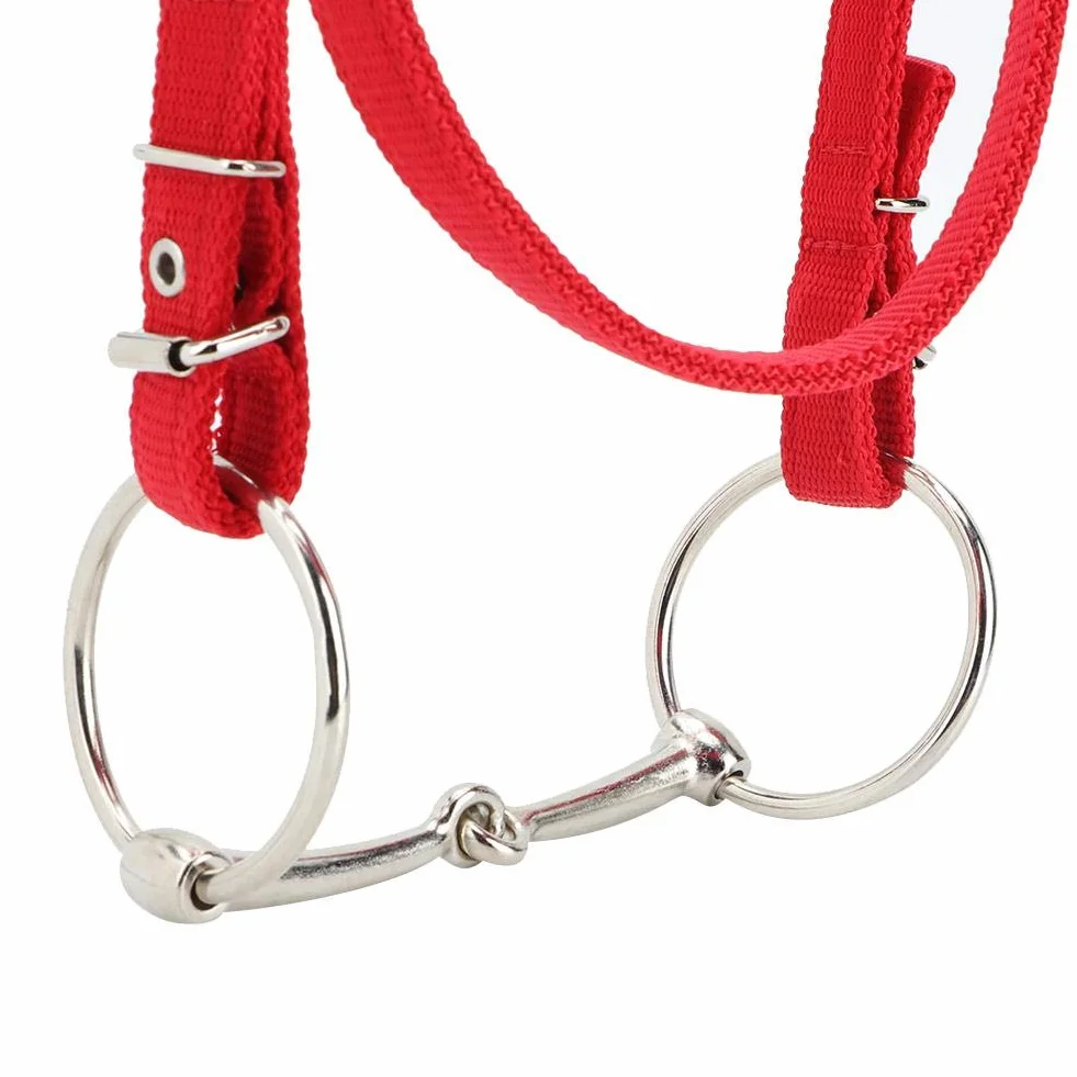 Arnés de caballo ajustable, correas engrosadas con cojín suave, cabestro de control 5 mm para caballos, entrenamiento equino, doma y paseo