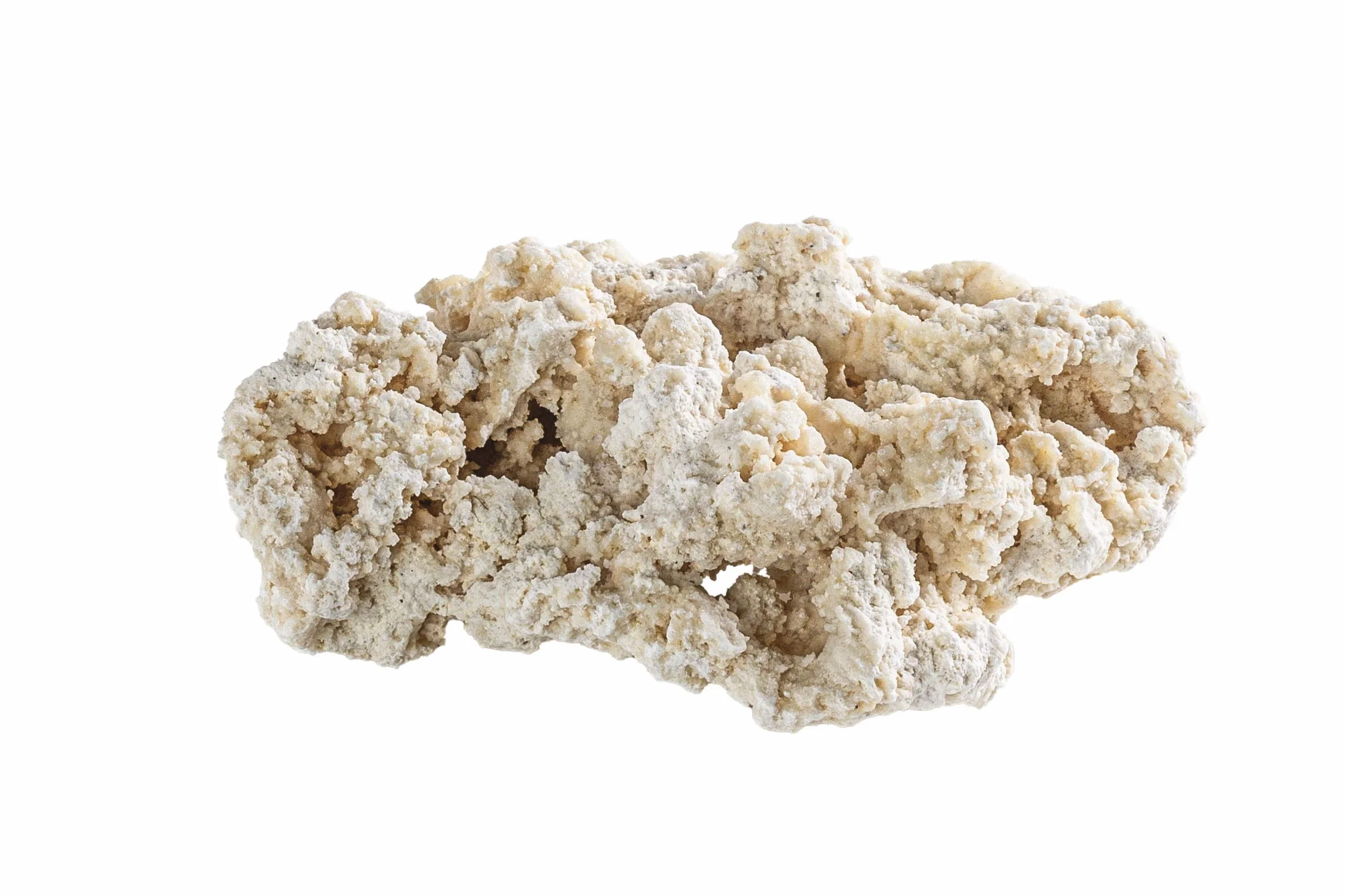 ARKA myREEF-Rocks 20kg / 9-12cm - Roca de Arrecife Natural para montajes auténticos en acuarios Marinos, Libre de sustancias nocivas, Zona de asentamiento Ideal para bacterias.