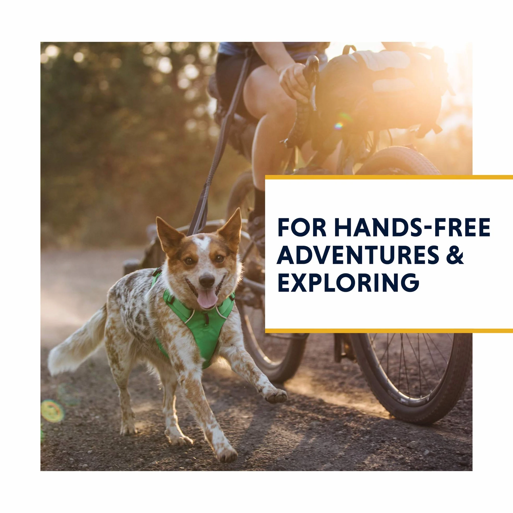 Ruffwear, Roamer - Correa elástica para Perro para Correr, Ciclismo o Senderismo, se Puede Utilizar de Mano o Manos Libres, Granite Grey, 7.3 pies a 11 pies