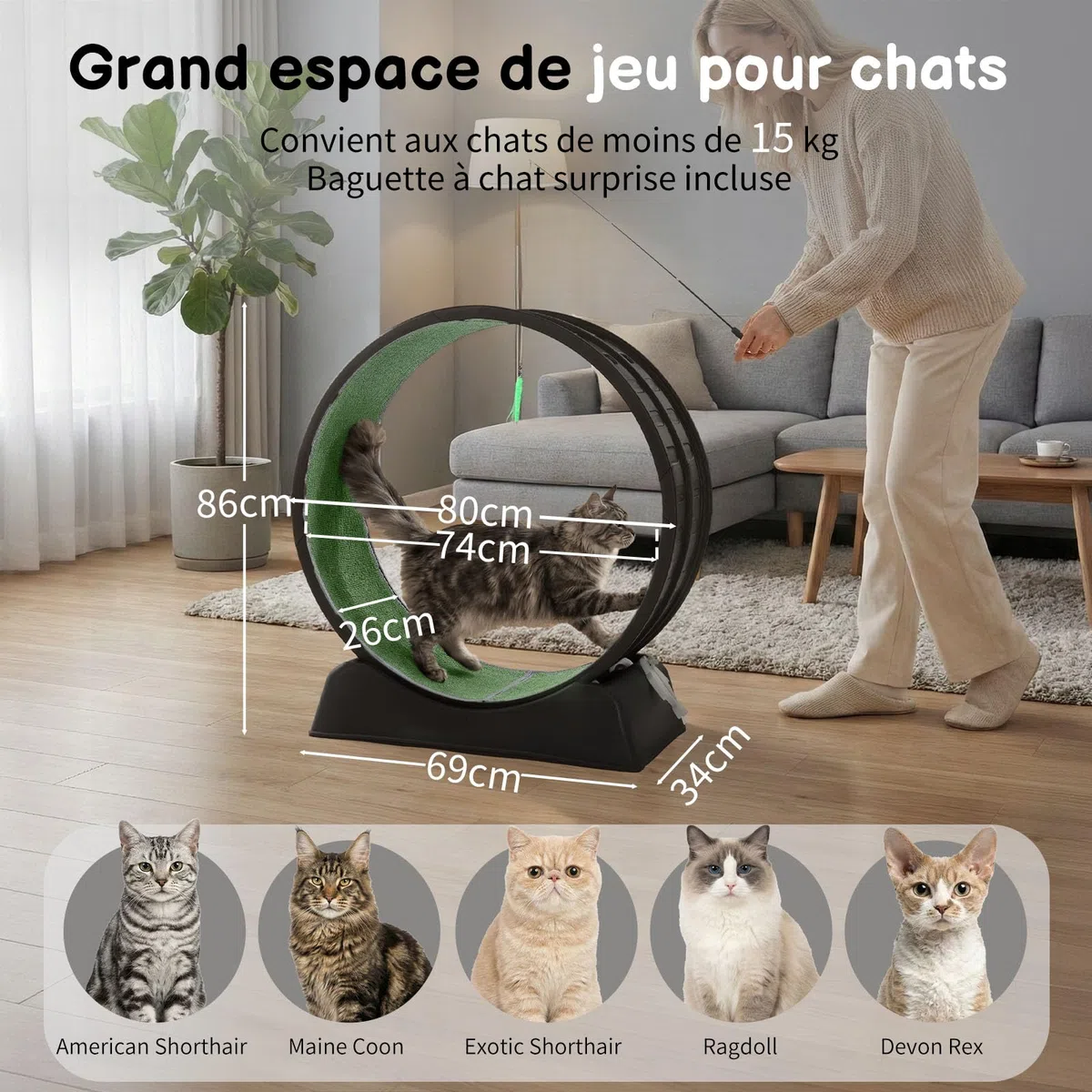 LEADZM Rueda de ejercicio para gato 80 cm - Rueda para gatos de hasta 15 kg - Conector de riel de plástico, resistente a los arañazos, estable y silencioso (Negro)