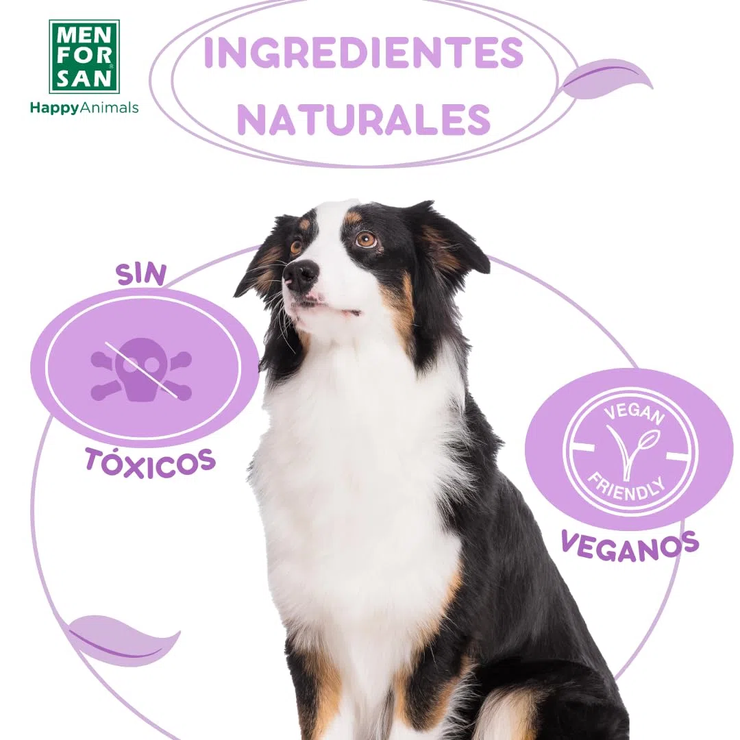 MENFORSAN Pack con 12 pipetas Anti-Insectos para Perros, con Margosa, geraniol y lavandino, con Bolsa autocierre