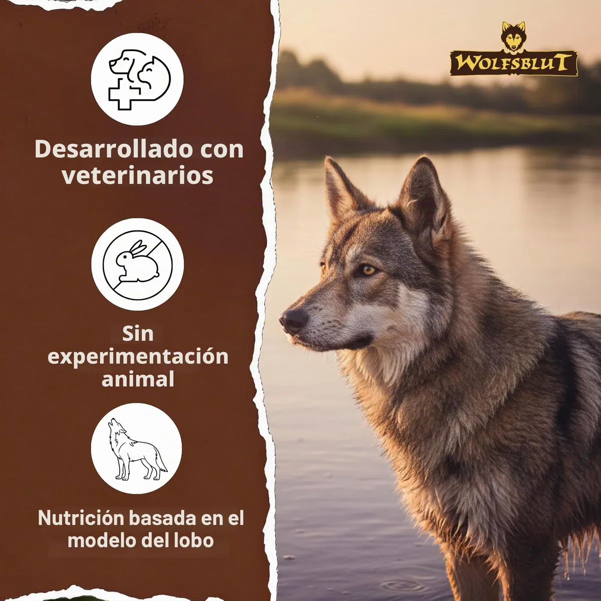 Wolfsblut Wide Plain Large Breed 12,5 kg