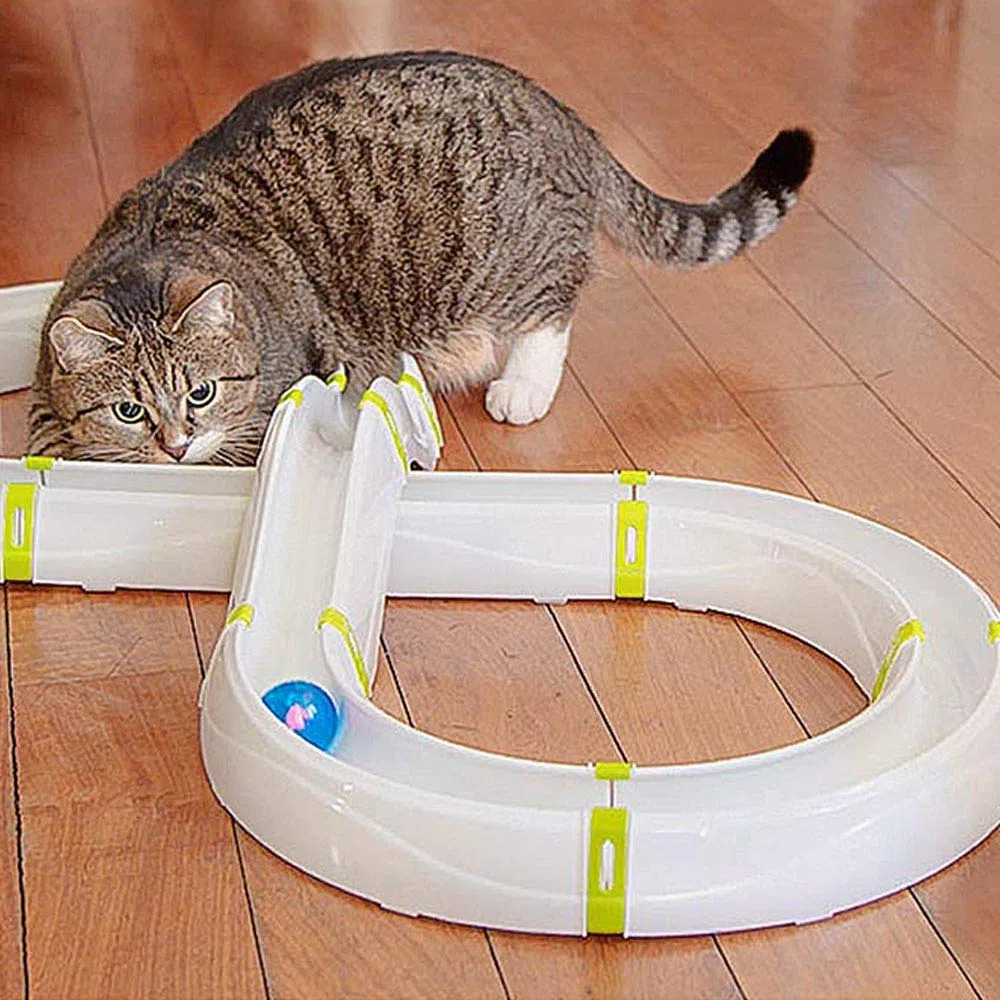 Ferplast Juego Interactivo para Gatos Typhon Circuito Modular, Bola de Luz LED Incluida