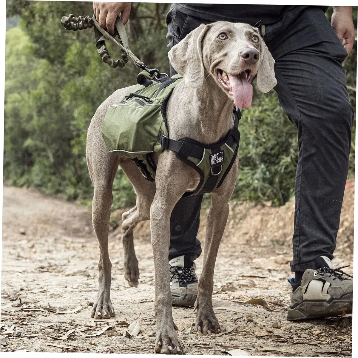 OneTigris CAMELUS Mochila de perro rasgado, camping, senderismo, para perros de tamaño M/L (M, Ranger verde)
