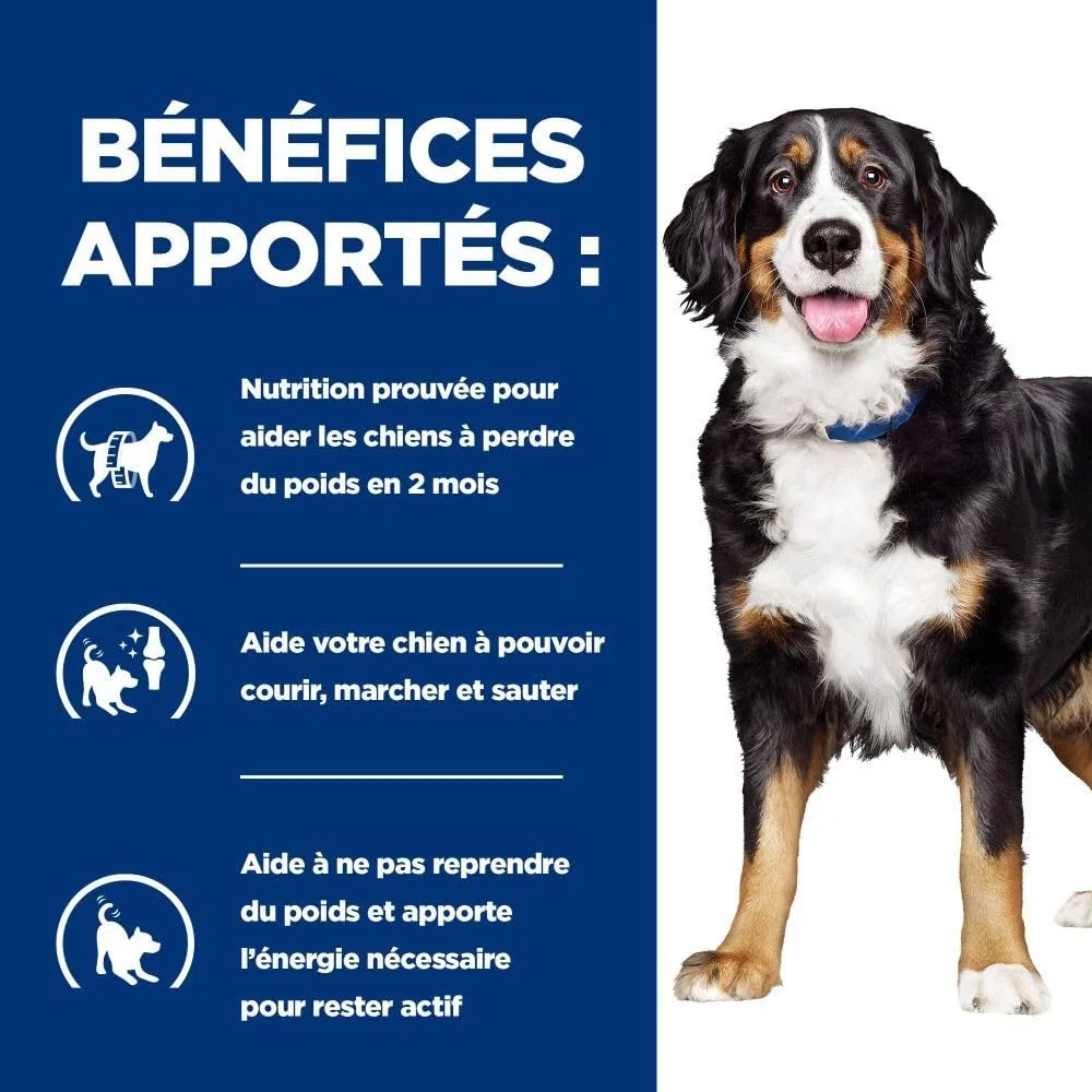 Hill's HPD Canine Metabolic Plus Mobility - 12 kg | Paquete de 1 unidad