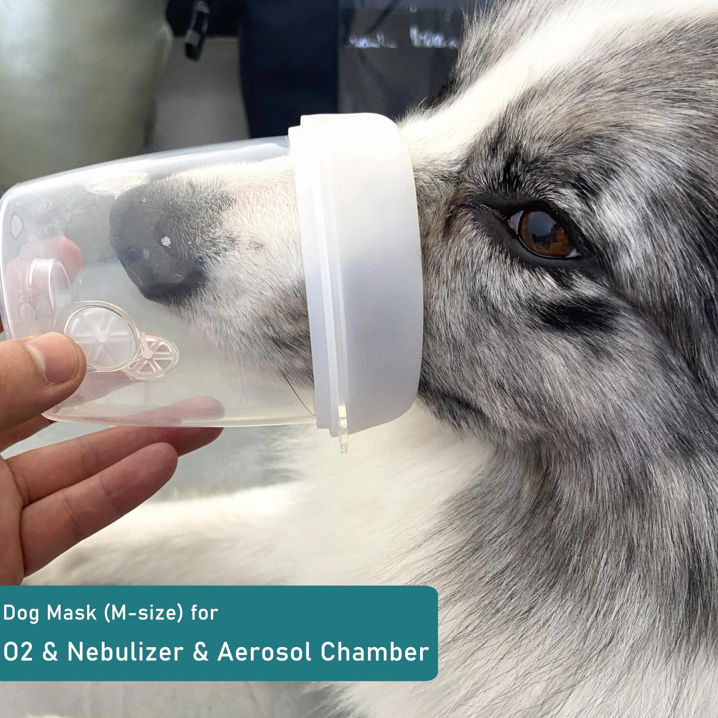 Taza nebulizadora para Mascotas y mascarilla inhaladora para Gatos y Perros pequeños, mascarilla de oxígeno para Mascotas (no Incluye máquina nebulizadora) (M - Perro Mediano)