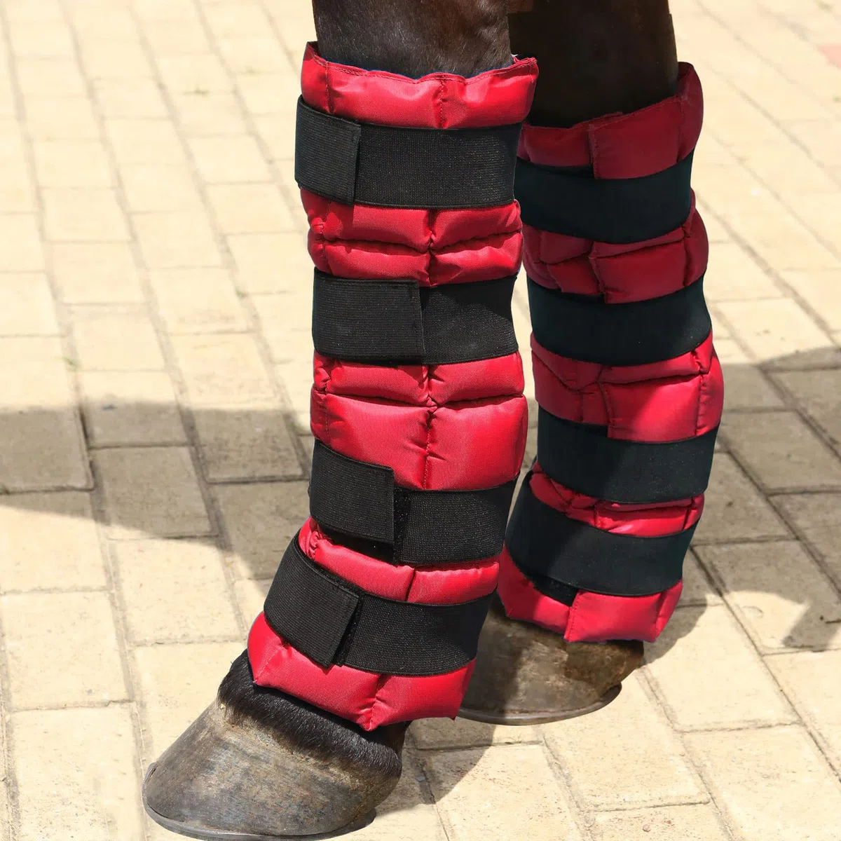 Harrison Howard Bota de hielo para caballo-rojo