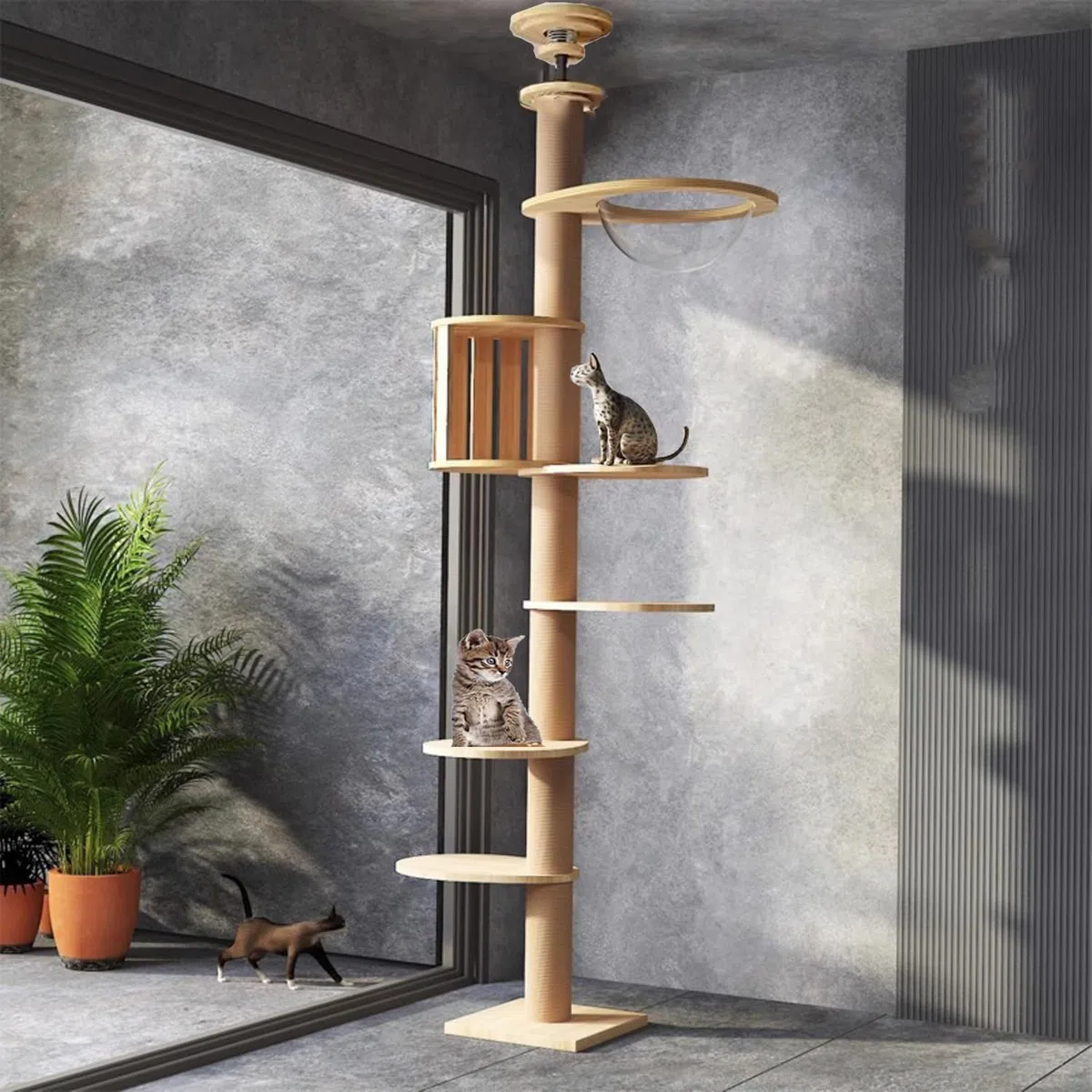Rascador de Techo, Cápsula Espacial, Hamaca para Gatos, Completamente Envuelta con Cuerda de sisal, Ancho de 11 cm, rascador Proporciona Horas de Entretenimiento físico y Mental