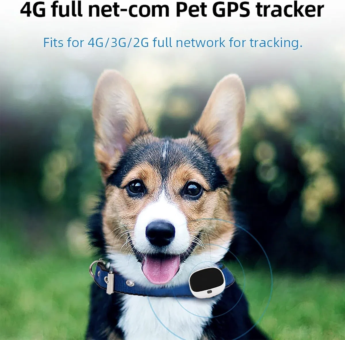 Localizador De Mascotas 4G,Localizador De Vallas For Perros Inalámbrico Con GPS Recargable,Sistema De Seguimiento Eléctrico For Mascotas Con Collar Rastreador, Datos Deportivos, Alarma De Batería Baja