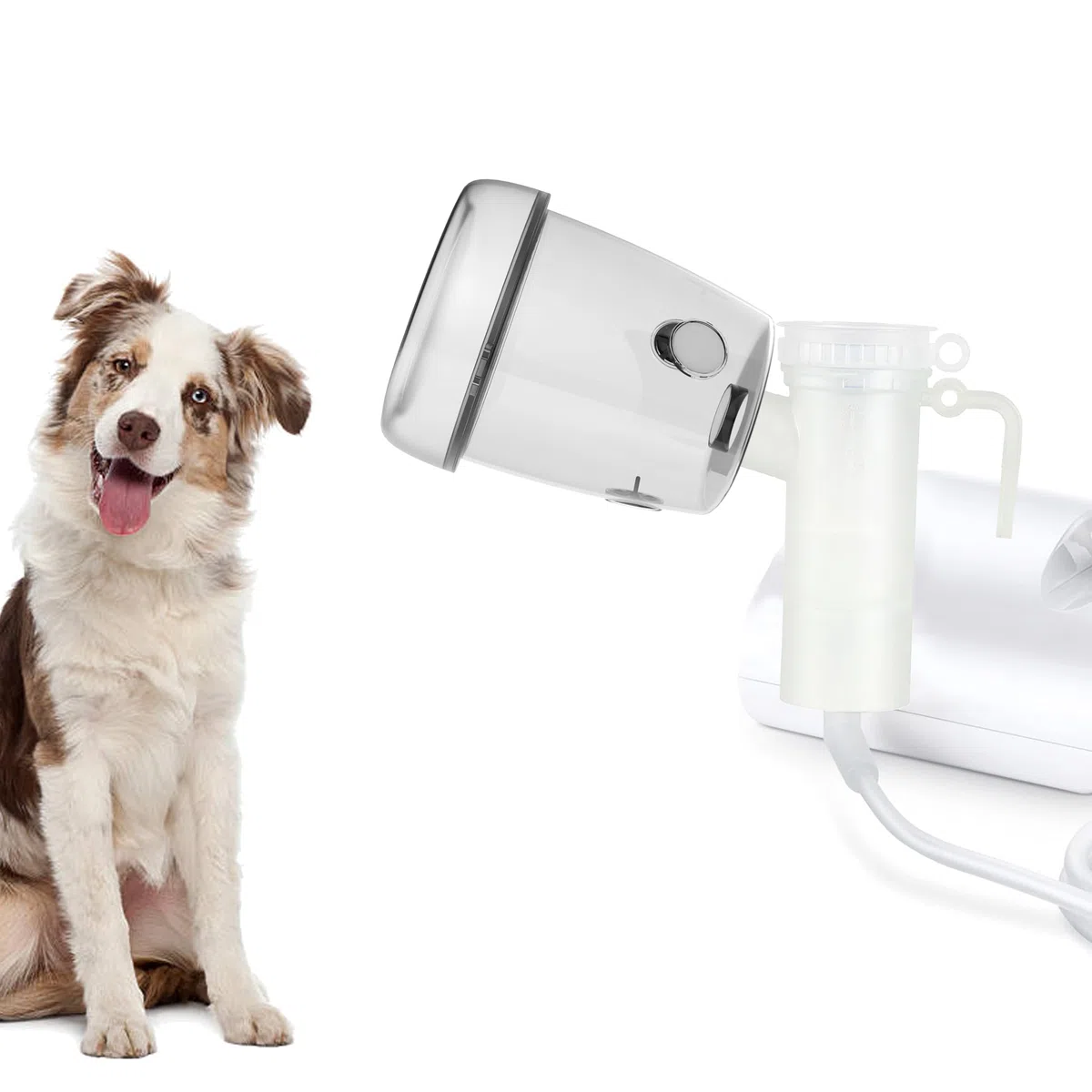 Taza nebulizadora para Mascotas y mascarilla inhaladora para Gatos y Perros pequeños, mascarilla de oxígeno para Mascotas (no Incluye máquina nebulizadora) (M - Perro Mediano)