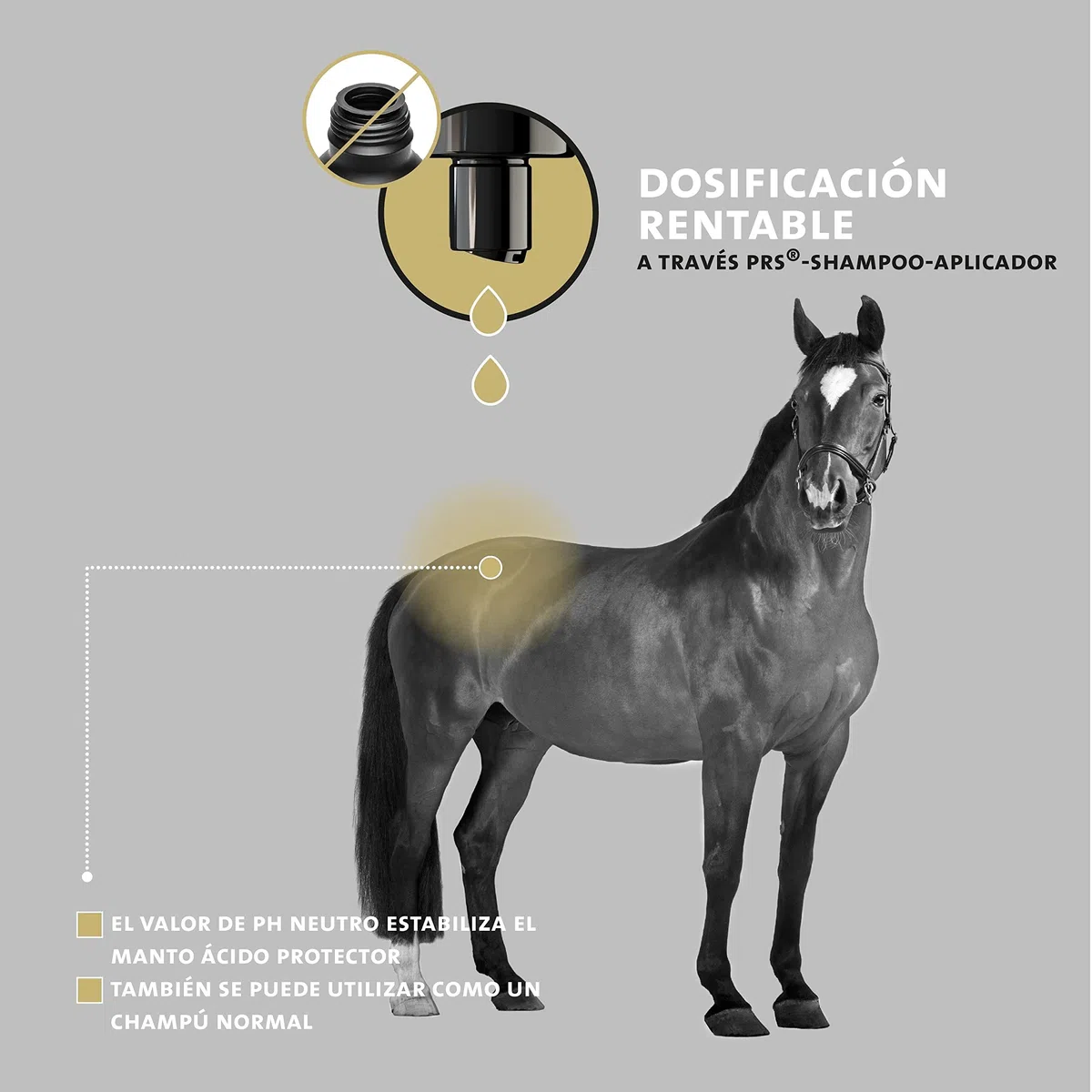 Peticare champú para Caballos Especial para picores ácaros Hongos pulgas - Cuidado del Olor desagradable del Pelaje, cuida la Piel del Caballo, fórmula de Cuidado eficaz - petHorse Health 2021