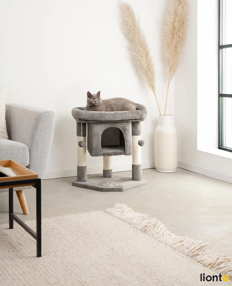 lionto Árbol rascador para Gatos Altura 60 cm, Gris Oscuro