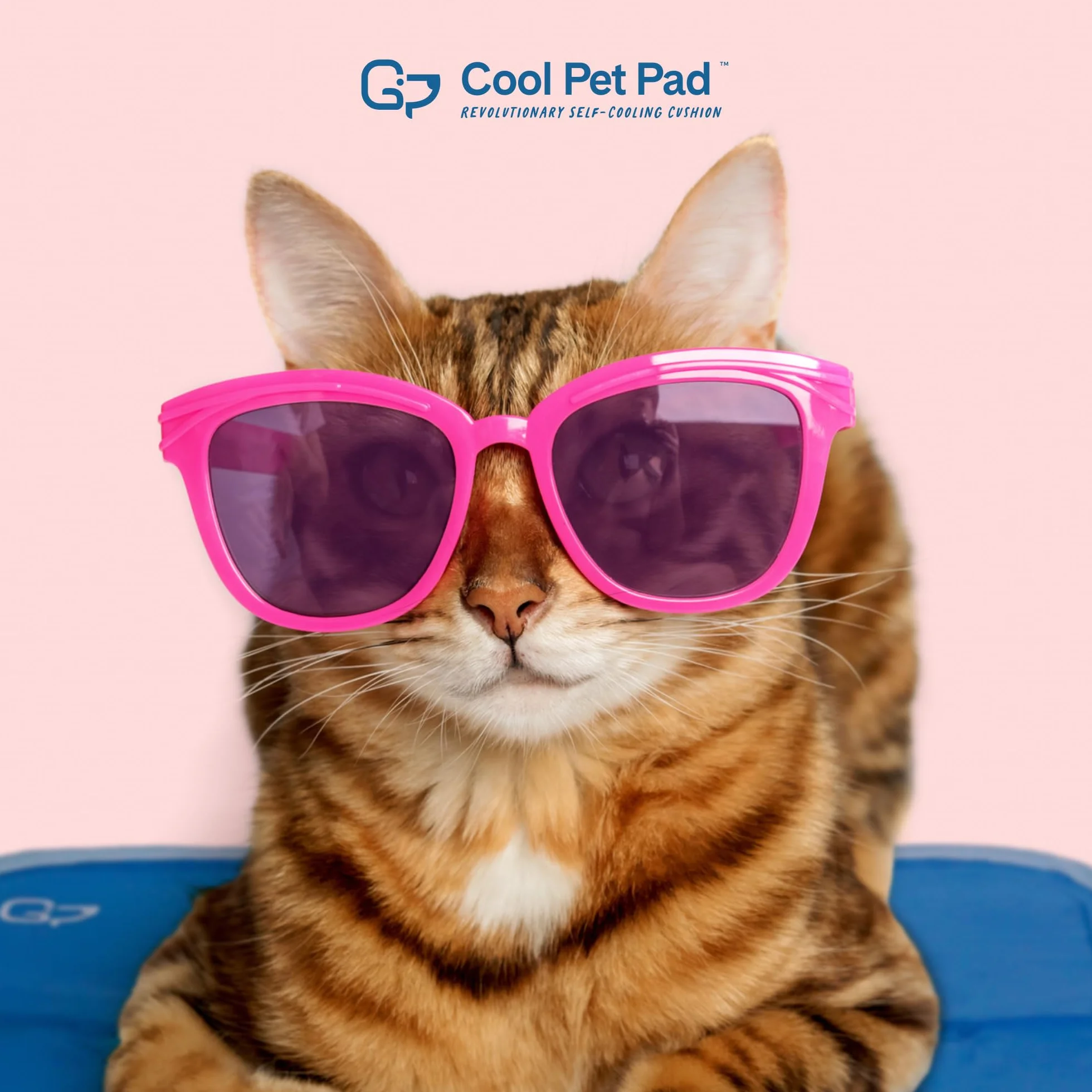 THEGREENPETSHOP - Tapete de refrigeración para Perros, pequeño, Activado por presión, para Perros y Gatos, tamaño para Mascotas pequeñas (9 a 20 Libras). Gel no tóxico, no Necesita Agua para Esta