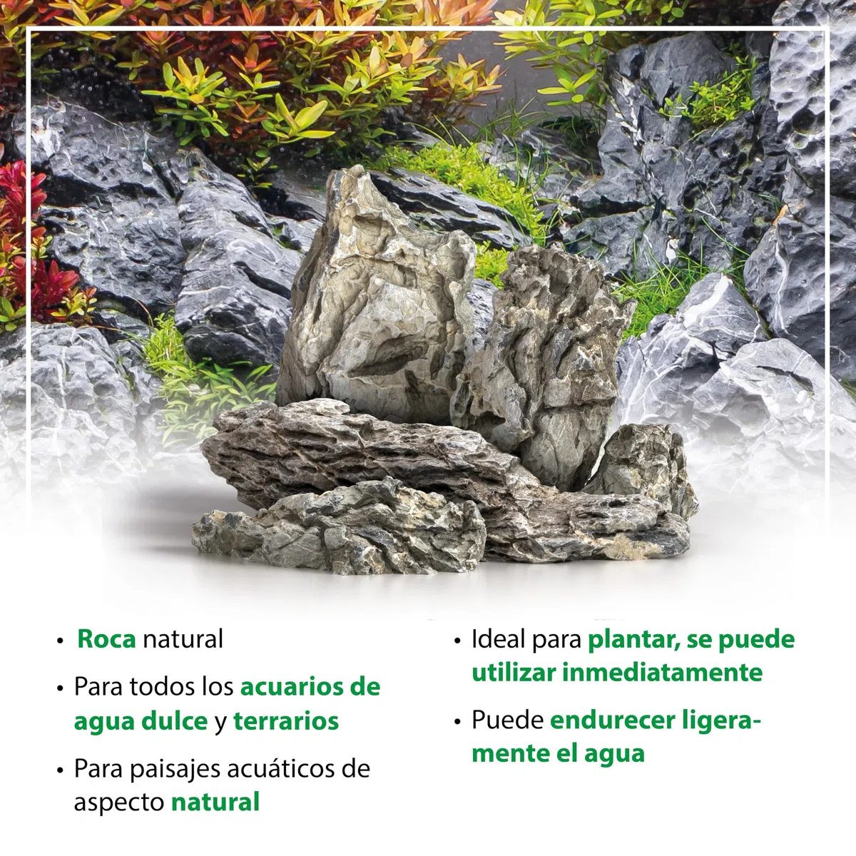 ARKA mySCAPE-Rocks Seiryu - 10 kg Mix - Rocas Naturales para la decoración Creativa de acuarios de Agua Dulce y terrarios, Ideales para Plantar.