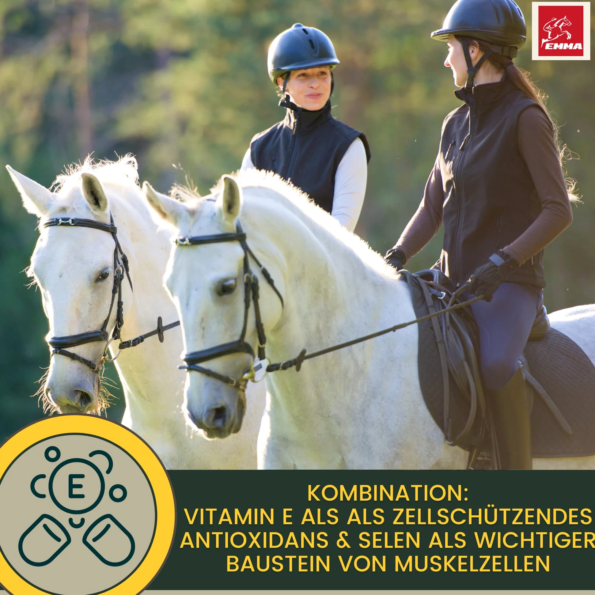 Alimento Mineral para Caballos Complejo de Vitamina b I biotina manganeso Zinc Caballo I Selenio Vitamina D A C B12 I minerales magnesio I Vitamina E I levadura de Cerveza I biotina Zinc Selenio 5Kg