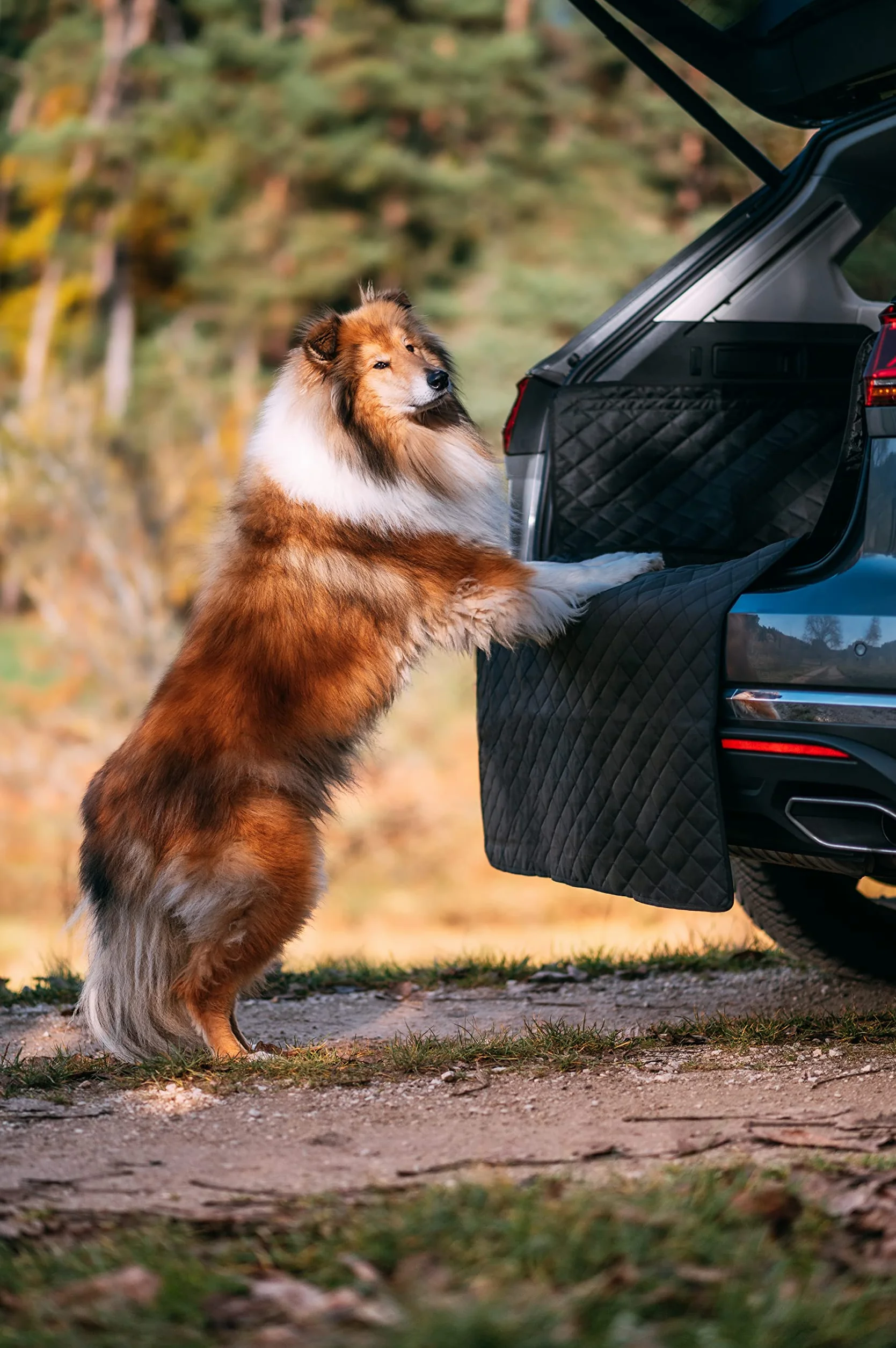 Rudelkönig Protector Maletero - Impermeable y Universal - Funda Maletero Coche Perros - Funda para Maletero de Coche Perro