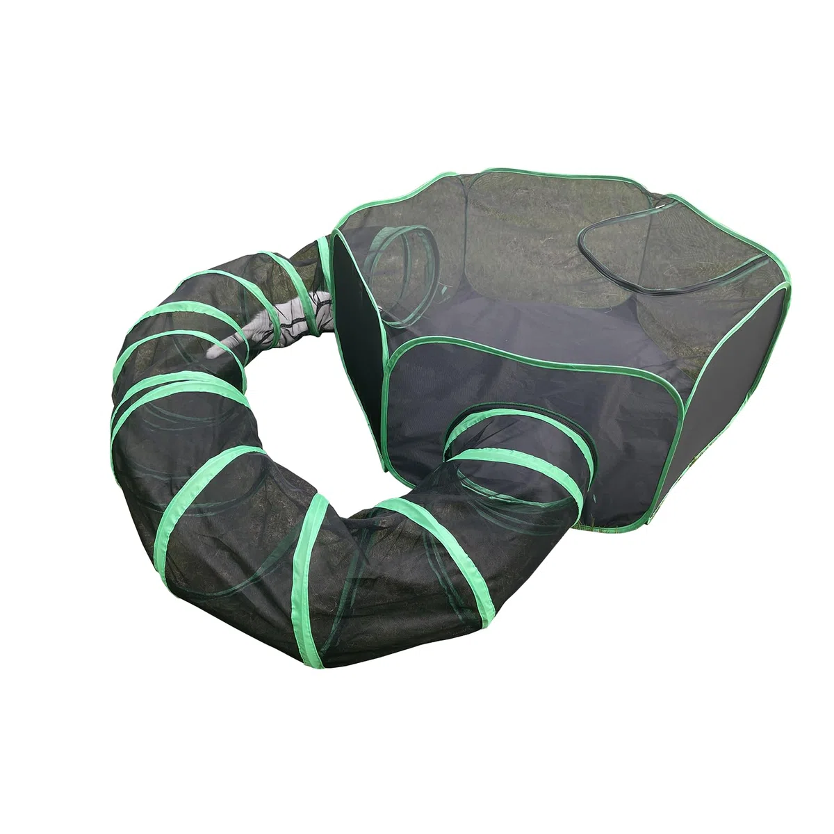 Pawtenda Recinto Portátil para Gatos con Túnel - Tienda de Campaña al Aire Libre para Interior y Exterior
