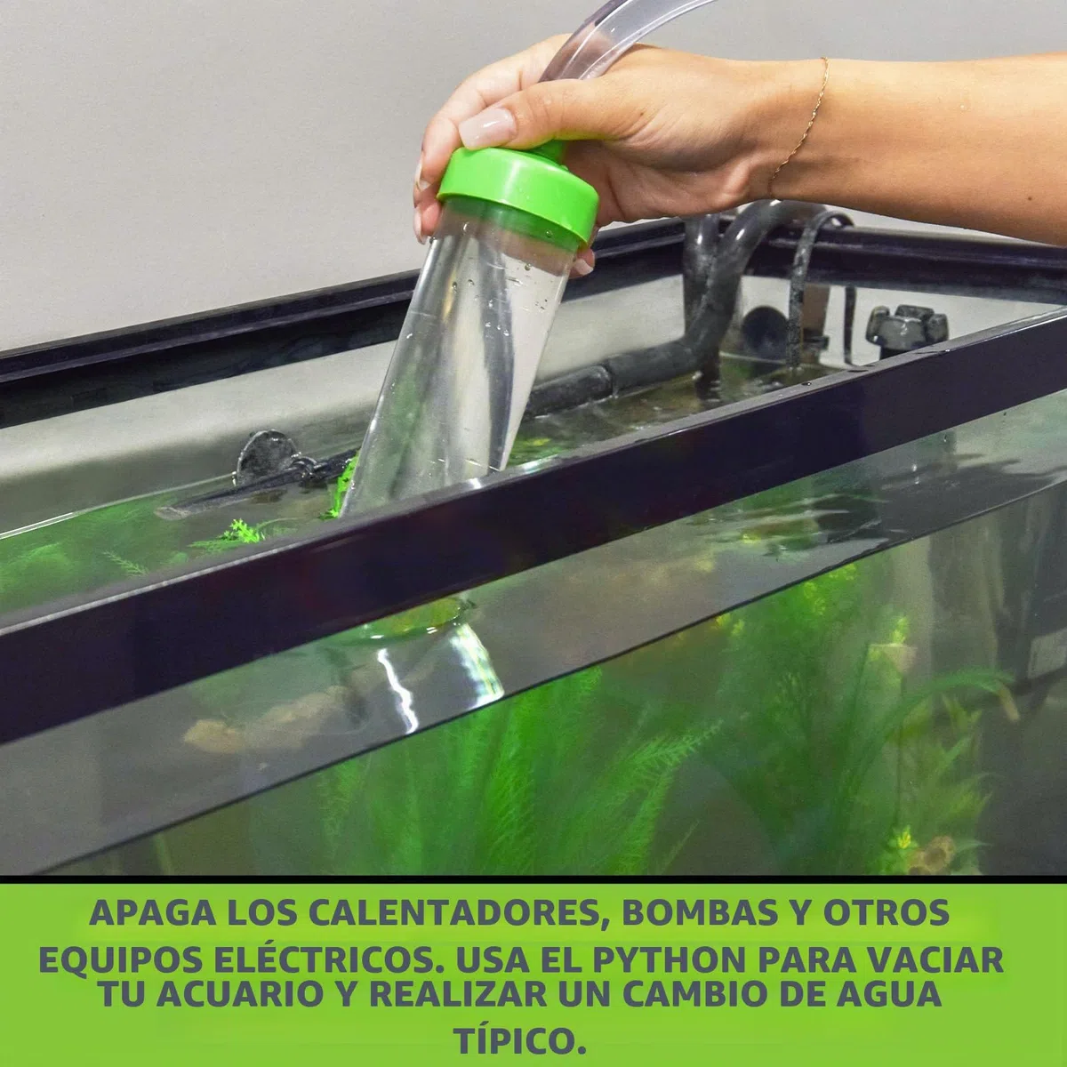 Python - Sistema de Mantenimiento de Acuario sin derrames, Limpiador de Grava y Cambiador de Agua, 50 pies