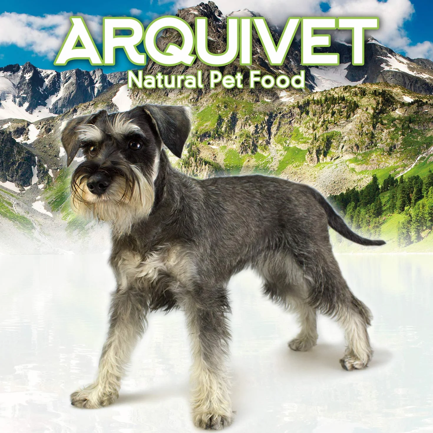 Arquivet Nervio de Toro - Snacks Naturales para Perros - Golosinas Perro - Chuches Perro - Premios Perro - Nervio de Toro en Barra - 12 cm Extra (Bolsa 50 uds.)