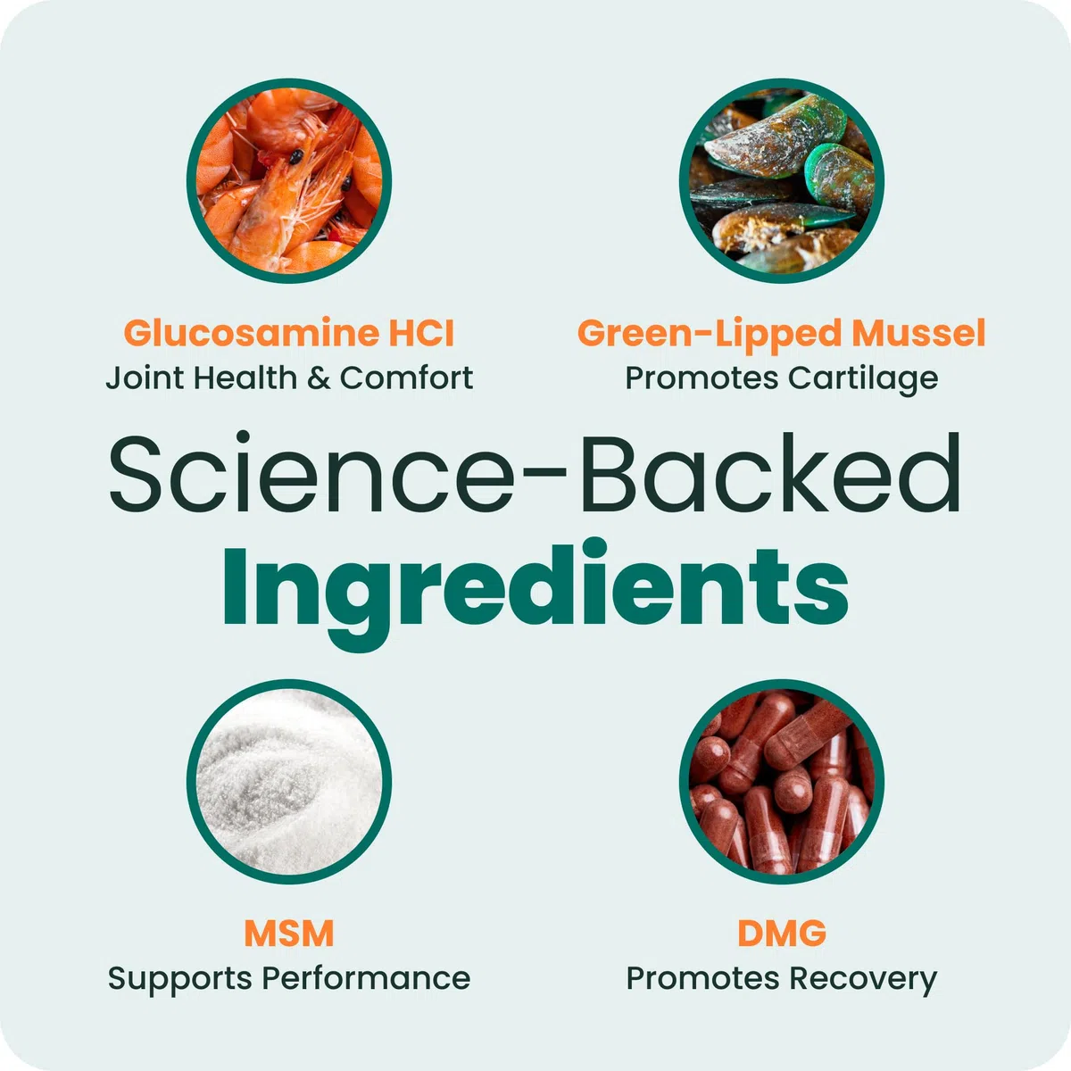 VetriScience - Masticables saludables Extra Fuertes para Cadera y articulaciones, glucosamina GlycoFlex y mejillón de Labios Verdes, suplemento de Apoyo Articular para Perros, promueve la Movilidad y