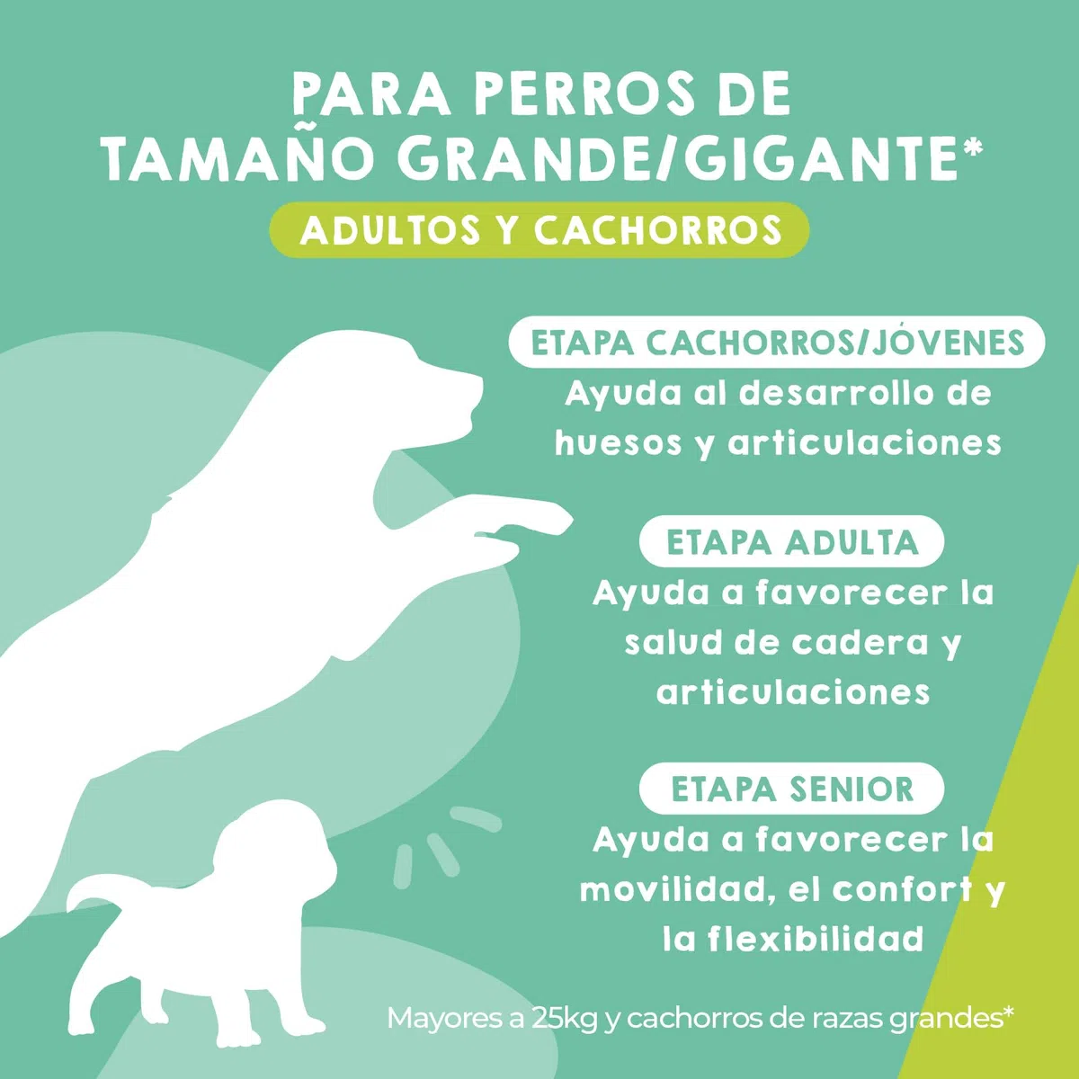 MAIKAI Condroprotector Perros Grandes y Gigantes – 120 Comprimidos – Glucosamina + Condroitina + MSM + Ácido Hialurónico – Articulaciones + Antiinflamatorio Natural