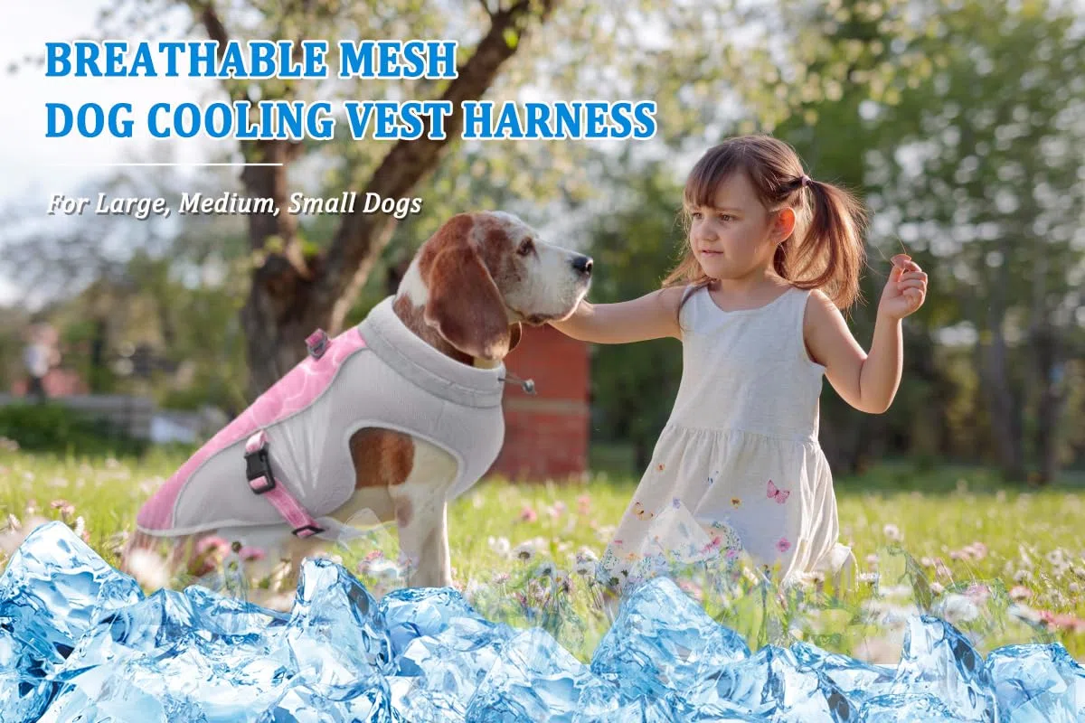 Pequeños Chaleco Refrescante para Perros Arnés Reflectante Para Perros Chaqueta Refrescante, Abrigo Fresco y Cómodo Para Perros, Seguridad a Prueba de Sol y Tecnología de Evaporación de Pantano