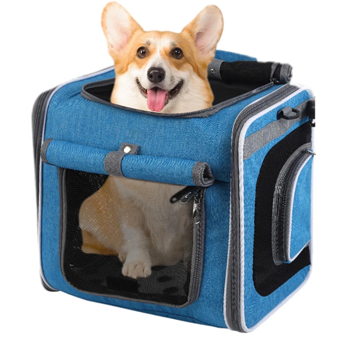 Cesta para Perros en Bicicleta, Transportín Delantero para Perros en Bici, Mochila Ajustable con Ventilación para Excursiones Y Paseos