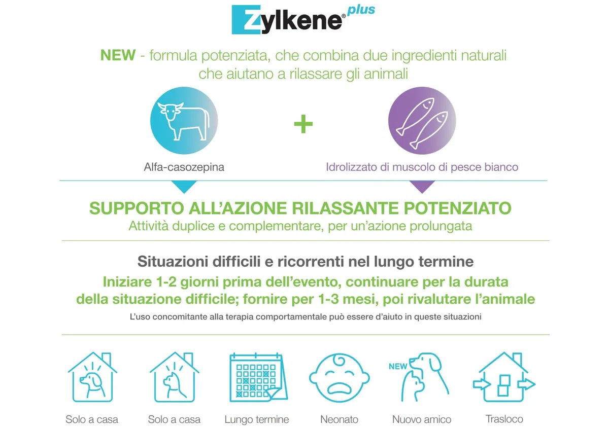 Zylkene Plus Pienso Complementario | Perros de más de 15 kg | Relajante para situaciones de malestar recurrente | 30 Cápsulas de 450 MG