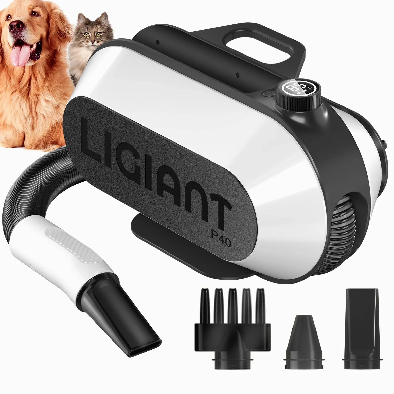 LIGIANT P40 Secador de Pelo para Perros, Ultra Silencioso (40 dB Modo Gato), 3 Boquillas en 1, Velocidad & Temperatura Ajustables, Tecnología de Iones Negativos, Compacto y para Gatos y Perros
