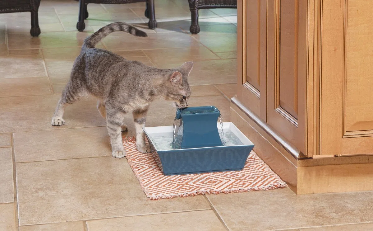 PetSafe Fuente de Agua para Gatos y Perros, dispensador automático de Agua, Fuente de cerámica para Pagoda Drinkwell para Mascotas, Filtro Incluido, Color Azul, 70 onzas, Modelo: PWW00-14898