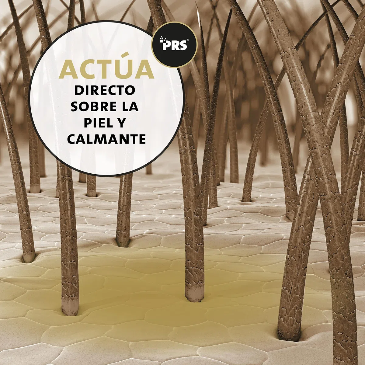 Peticare champú para Caballos Especial para picores ácaros Hongos pulgas - Cuidado del Olor desagradable del Pelaje, cuida la Piel del Caballo, fórmula de Cuidado eficaz - petHorse Health 2021