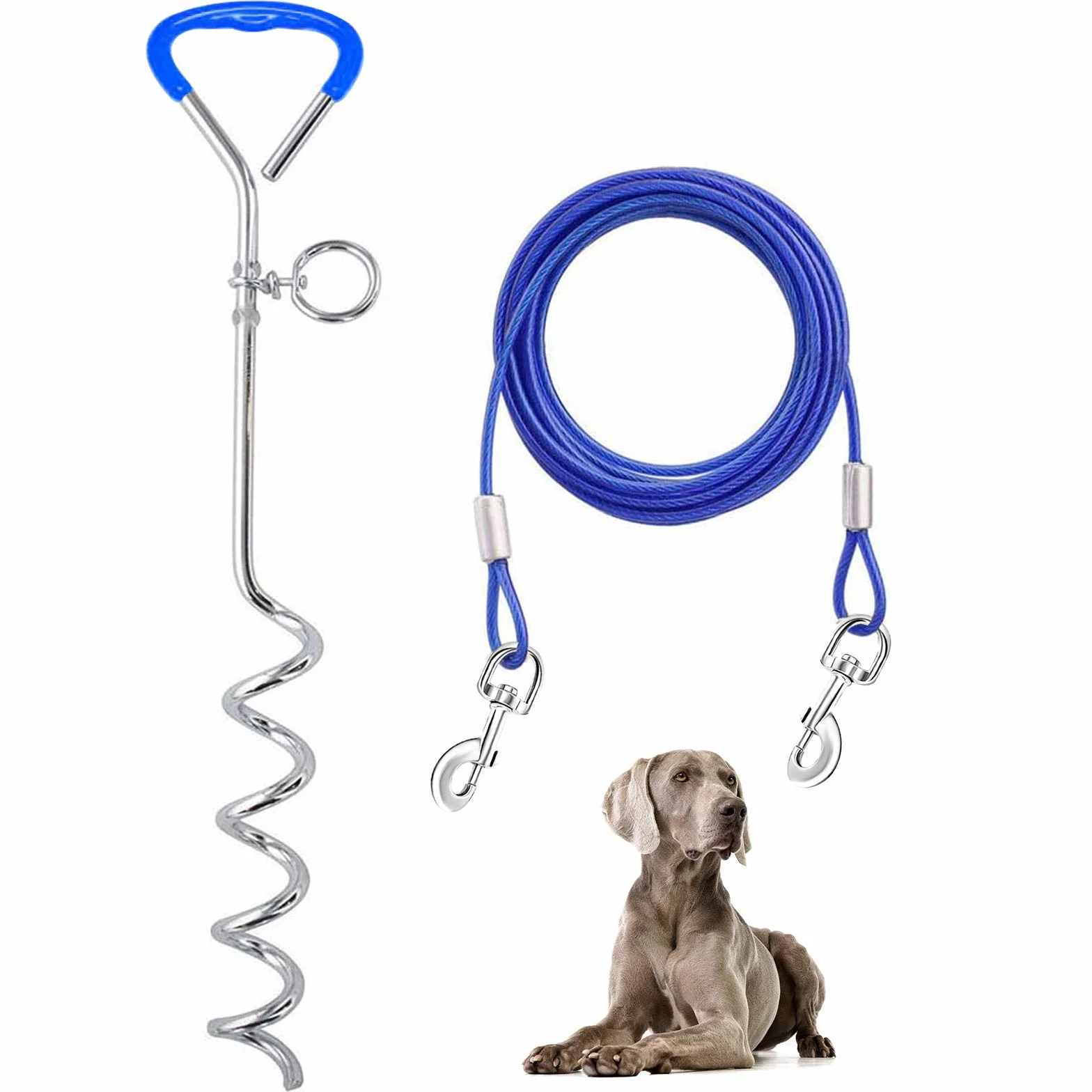 Supet Juego de estaca de Acero Inoxidable con Punta en Espiral y Correa para Atar al Perro en Exteriores, Correa de 3/5/10 m, para Perros pequeños y medianos