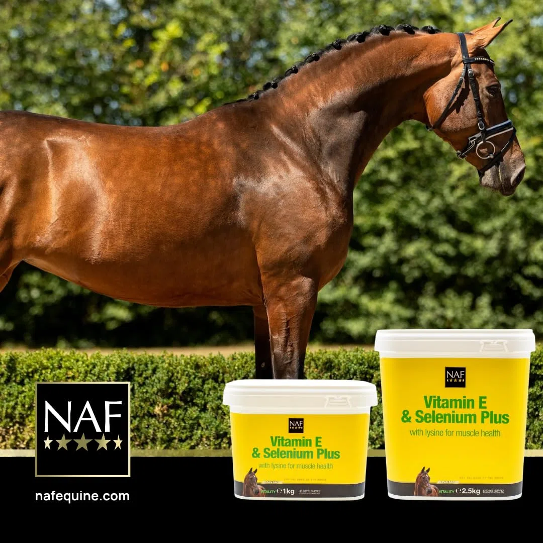 Vitamine E, Selenium Plus NAF - 1kg
