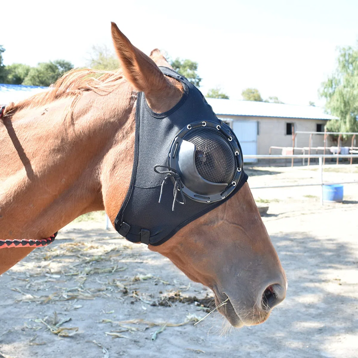 Suministros De Arnés Cubierta De Arnés Gafas A Prueba De Viento Gafas De Carrera De Velocidad con Gafas De Malla Cubierta Anti-trachoma Hogar De Caballo(Color:Negro)