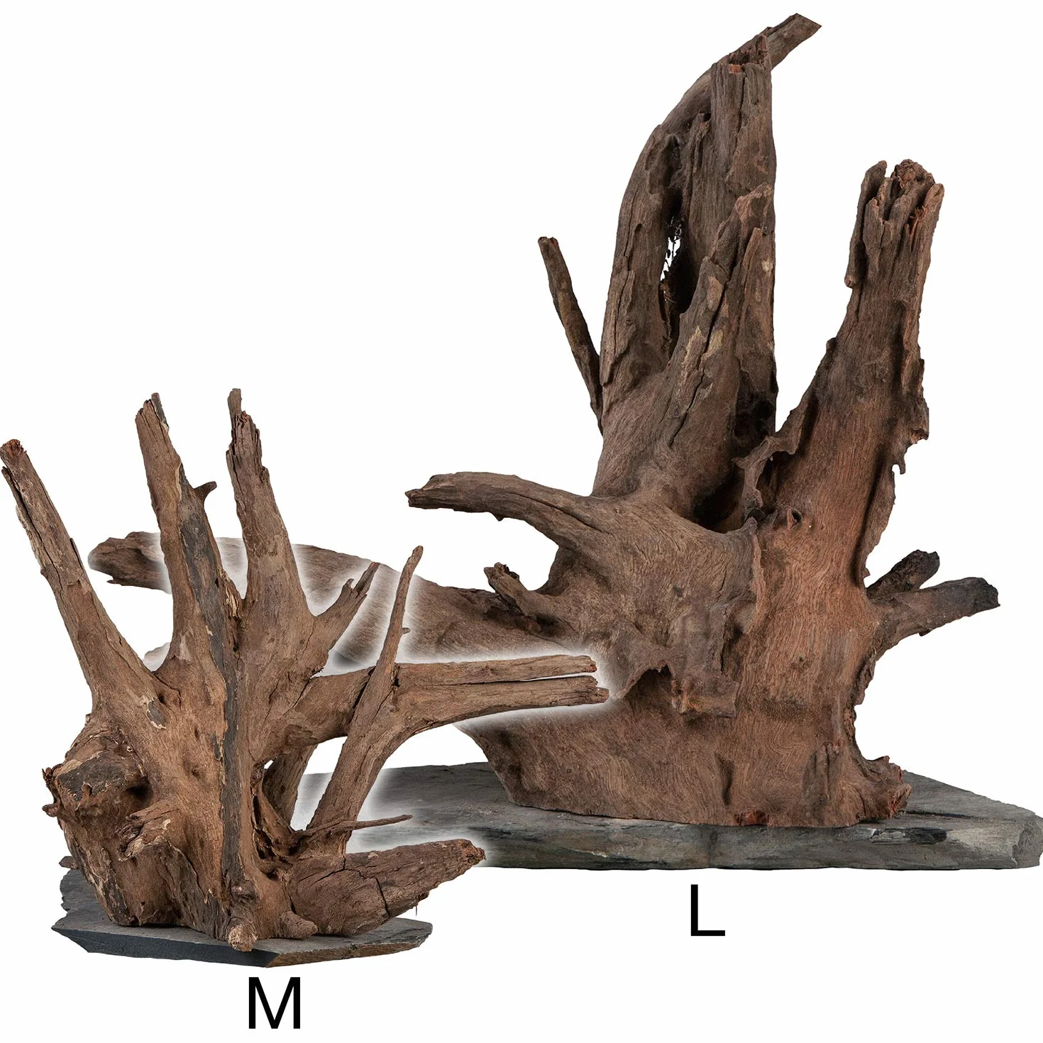 sera Scaper Wood L 30-35 cm - Madera de raíz compacta sobre Pizarra en Dos tamaños