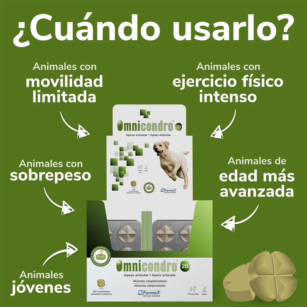 Omnicondro 20 Hifarmax - Condroprotector para Perros y Gatos | Glucosamina y Condroitina para Articulaciones | Vitaminas Mascotas | Suplementos para Perros Mayores | 300 Comprimidos