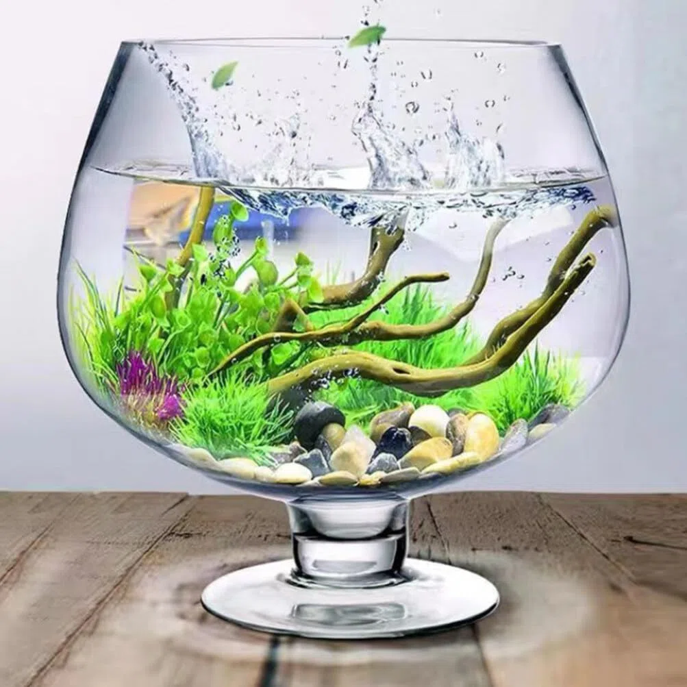 VANZACK Cuenco De Burbujas Transparente Pecera De Cristal Terrario Globo Florero Copa Terrario Contenedor Hidropónico Tanque Betta Cuenco De Lirio De Agua para Decoración