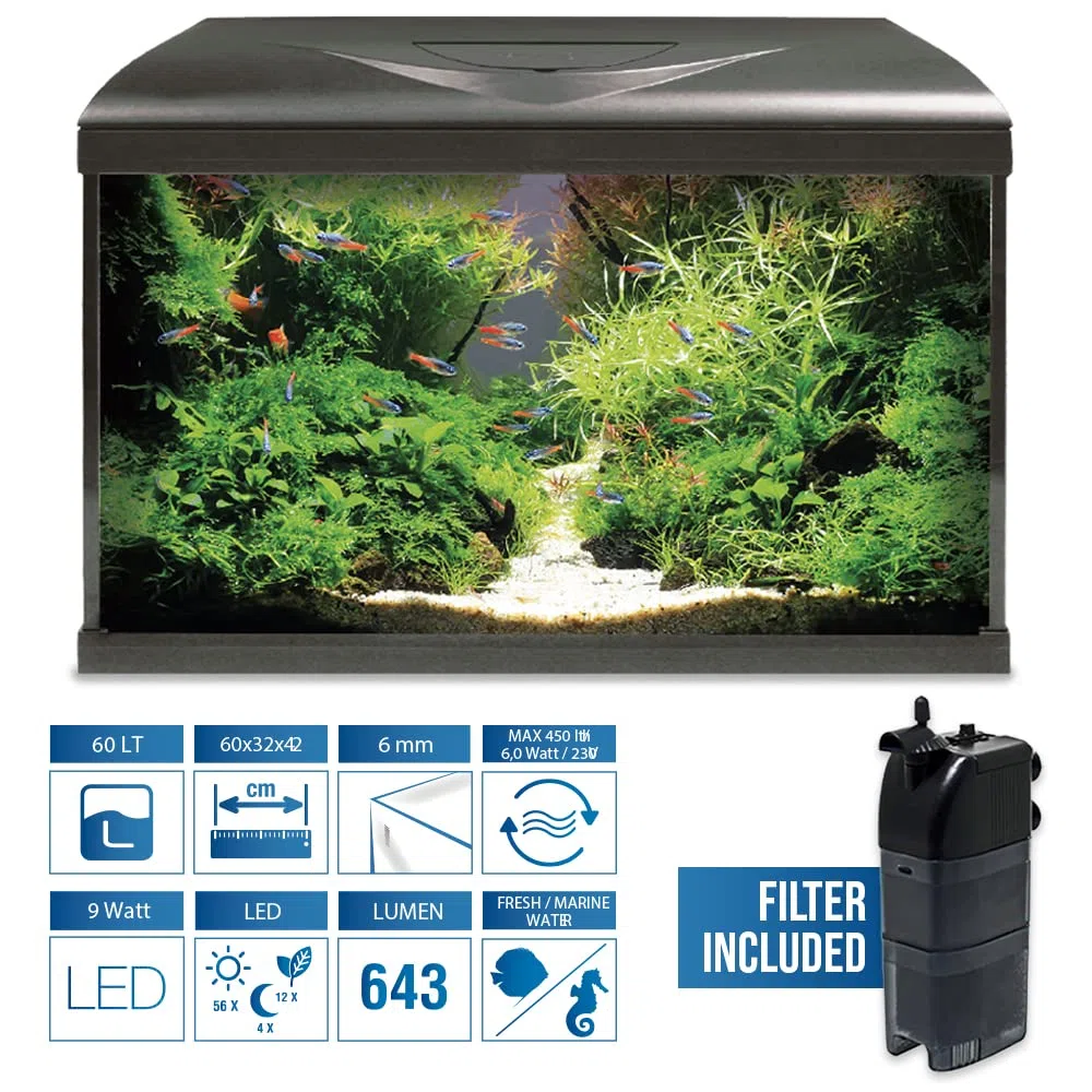 Amtra Acquario System Tank V2 - Acuario De Cristal Completo De 60 Litros, Luz Led De 9 Vatios Y Bomba De Filtro Incluida, Agua Dulce O Salada, Negro, 60X32X42 Cm